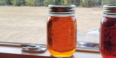 Crystal Clear Maple Syrup